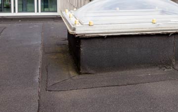 disadvantages of Newbolds flat roofs